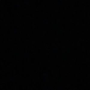 Meet your Posher, Taven